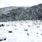 nieve-peralejos-de-las-truchas2