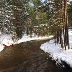 nieve-peralejos-de-las-truchas6