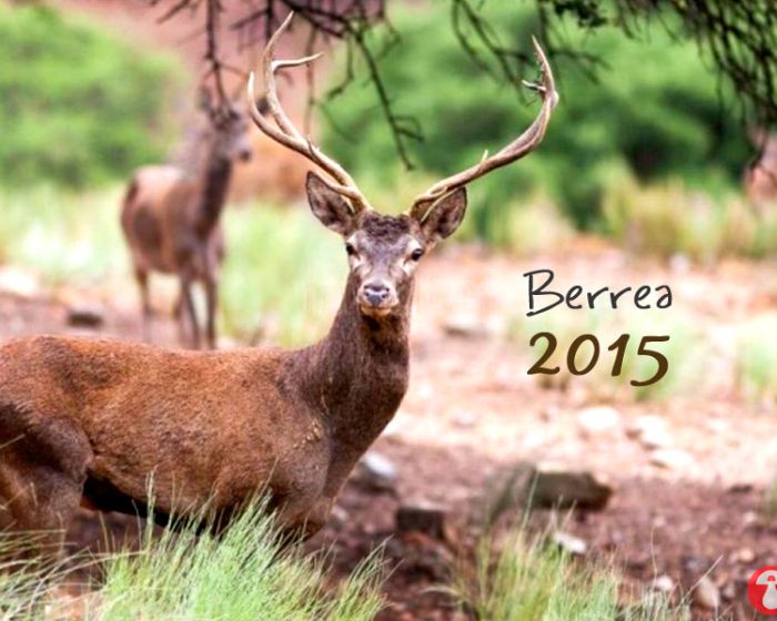 berrea-2015-casachon