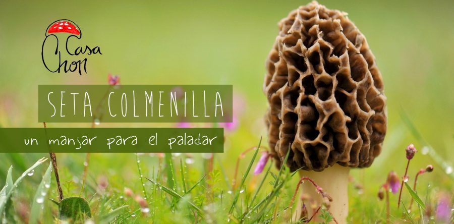 Ruta setera de primavera por el Alto Tajo, Peralejos de las Truchas