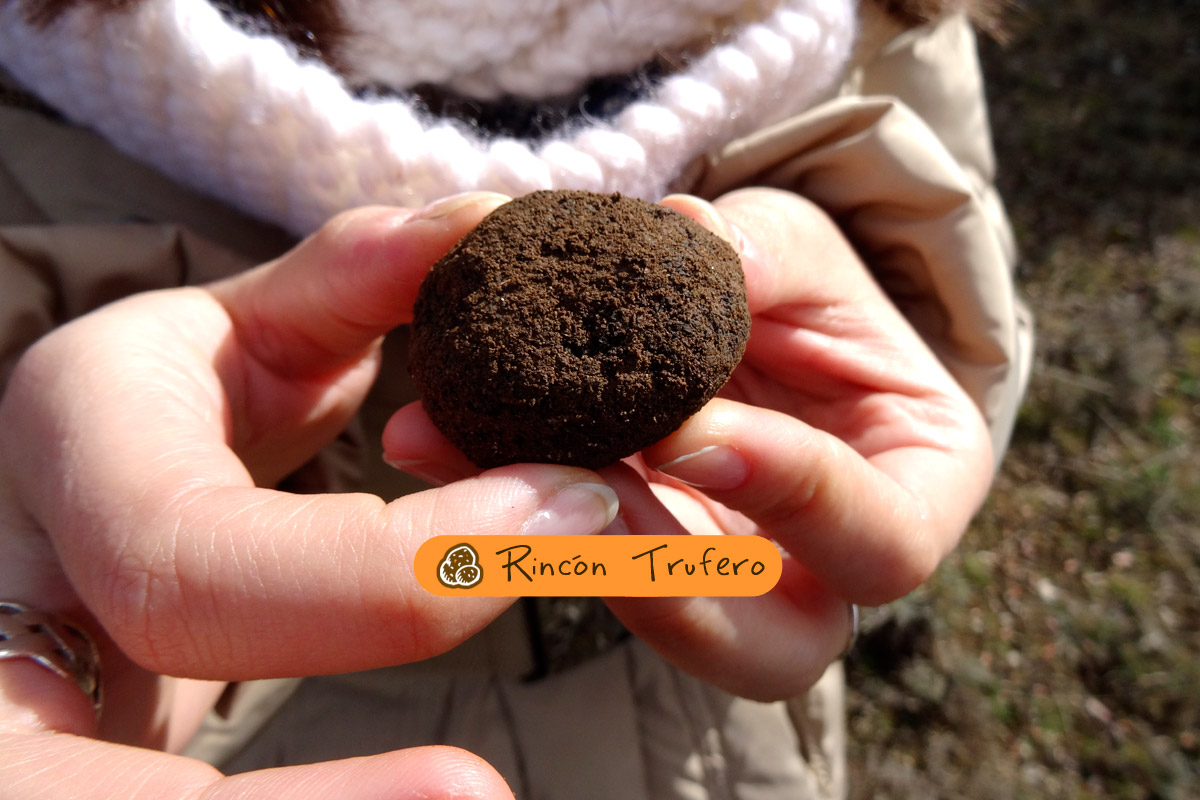 siliders6-trufas