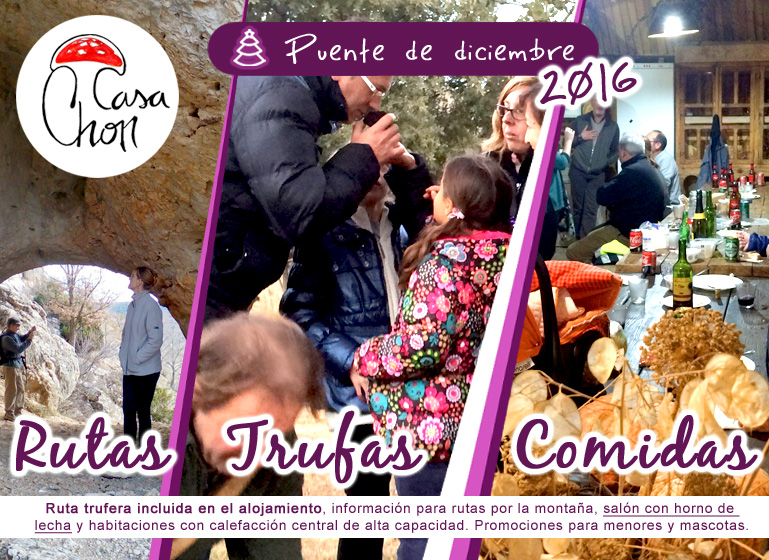 ofertas-puente-de-la-constitucion-diciembre-2016
