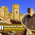 7ª Feria de la Trufa en Molina de Aragón