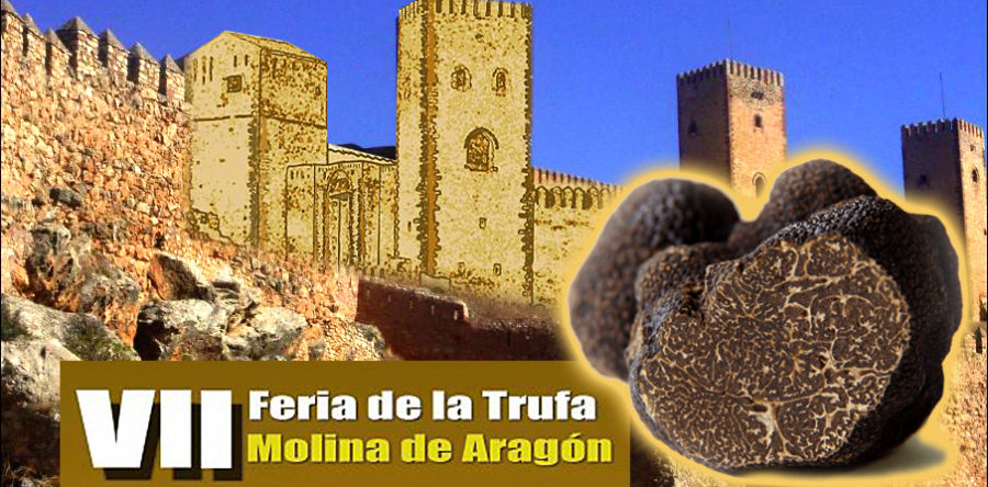 7ª Feria de la Trufa en Molina de Aragón