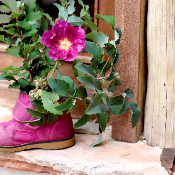 Casa Rural Alto Tajo Guadalajara. Zapato decorado