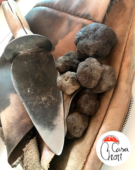 Venta directa de trufas en Guadalajara para restaurantes