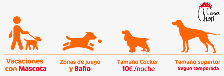 vacaciones mascota-perro alojamientos rurales