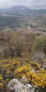 Ruta Lamuela 7