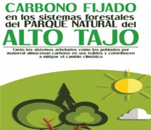 carbono en Alto Tajo