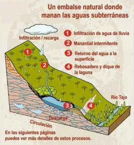 aguas en laguna de Taravilla