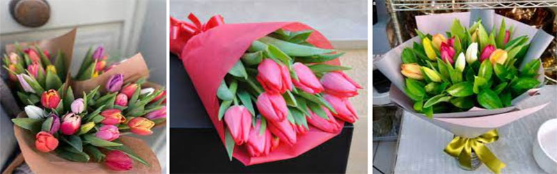 tulipanes Orea