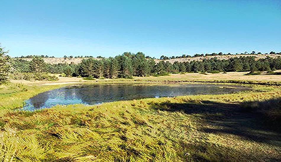 Laguna Solobreja