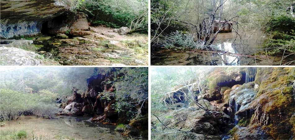 rio cuervo nacimiento