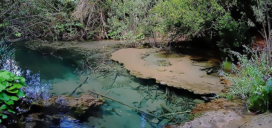 rio cuervo