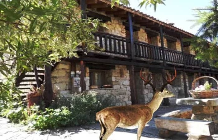 Casa Chon Ciervo