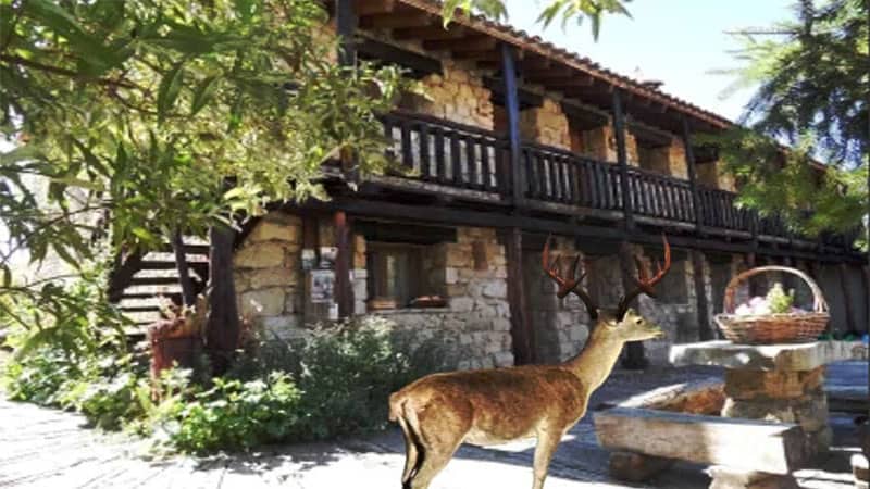 Casa Chon Ciervo