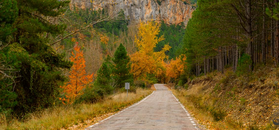 parque alto tajo