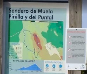 muela-pinilla