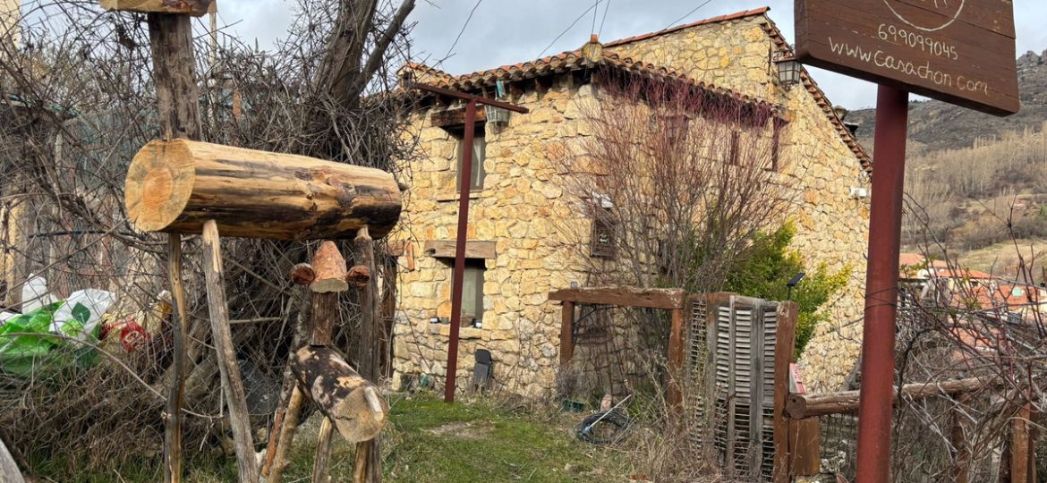 Pinos Caídos Convertidos En Arte En Peralejos De Las Truchas 1