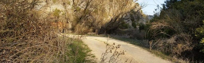 Camino Ruta Cabrillas
