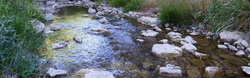Paso Rio Cabrillas