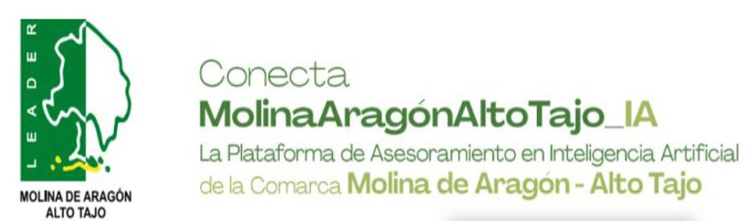AI Molina Aragon