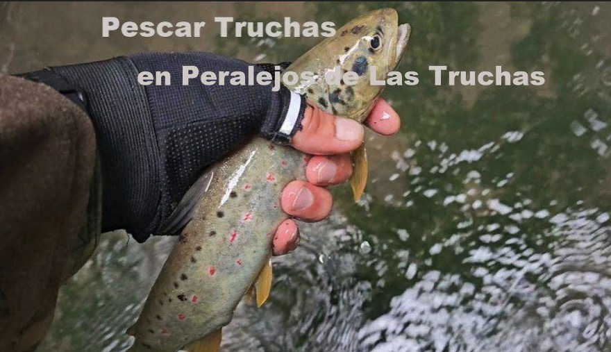 Pesca Peralejos 10
