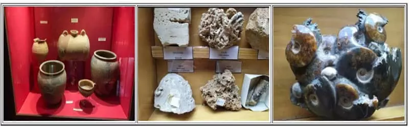 Sala Aequeologia
