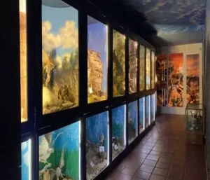 Sala Museo
