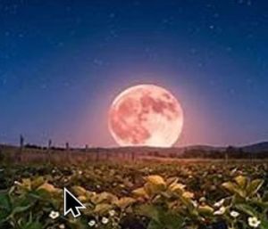 Luna Alto Tajo