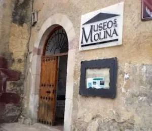 Museo Molina