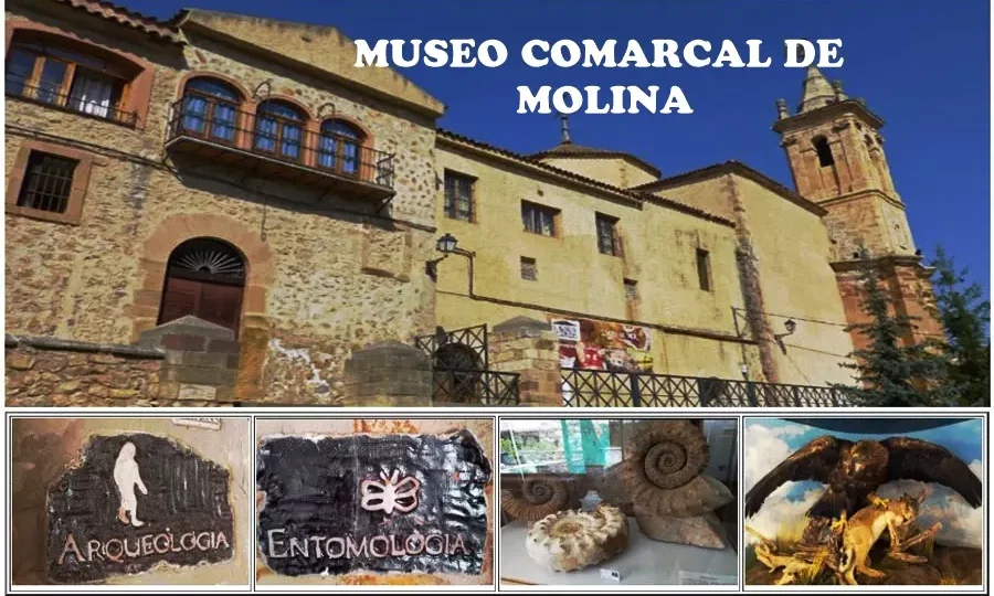Museo Molina 10