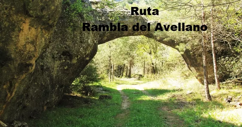 Ruta Avellano 10